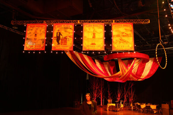 A woman standing in front of a Ceiling Treatment.