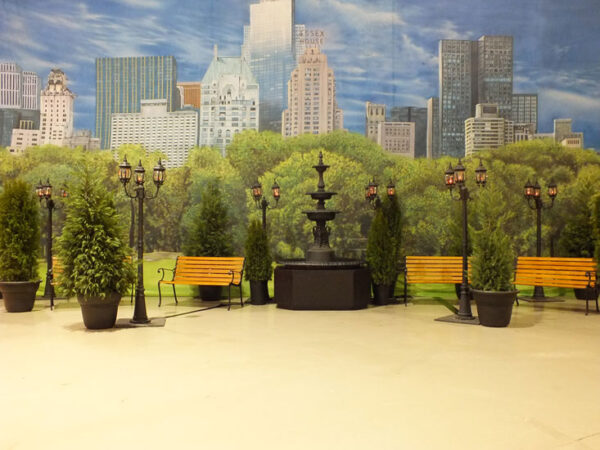 A Central Park backdrop with benches and a fountain.