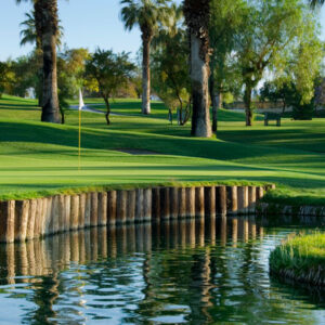 An Art Deco Backdrop with a pond and palm trees.