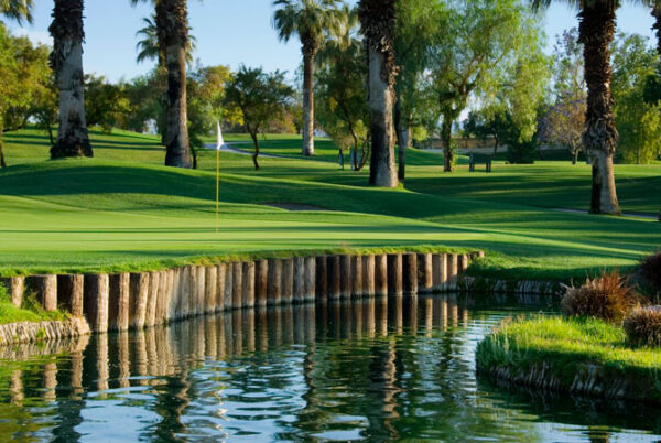 An Art Deco Backdrop with a pond and palm trees.