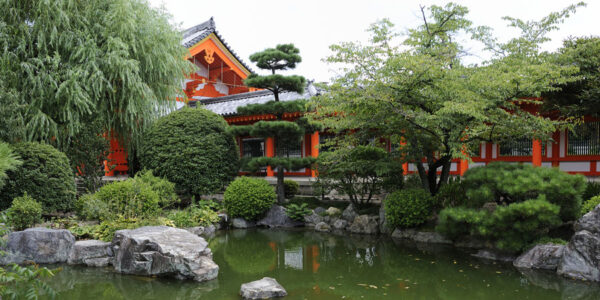 A Koi Garden Backdrop with a pond and rocks.