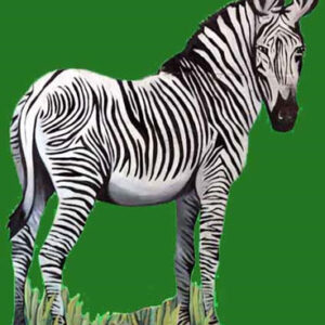 A zebra standing on a green background.