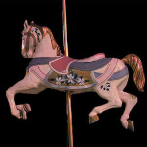 Carousel Horses on a black background.