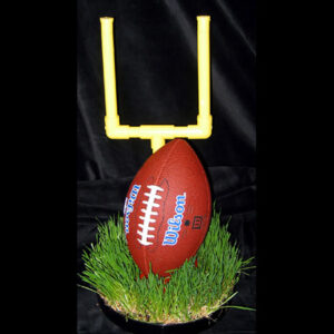 A Football Table Centerpiece with a goalie in the grass.