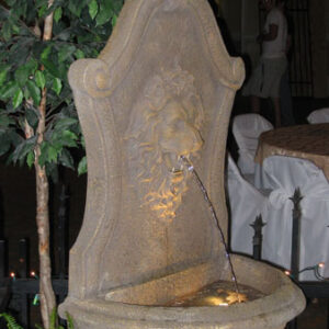 A Fountains with a lion's head.