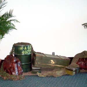 A group of Military Vignettes and a plant on the floor.