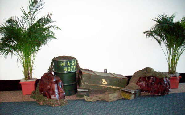 A group of Military Vignettes and a plant on the floor.