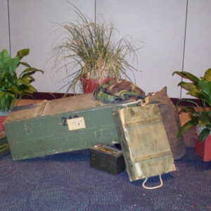 A Military Vignette on the floor next to a potted plant.