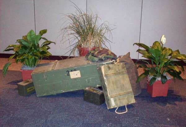 A Military Vignette on the floor next to a potted plant.