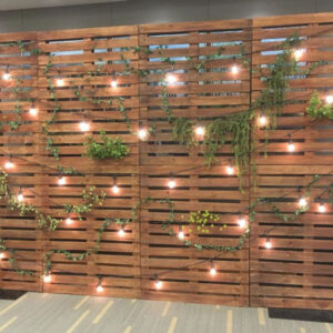 A Pallet Wood Wall with lights and plants on it.