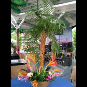 A palm tree in a blue vase on an African Table Design.