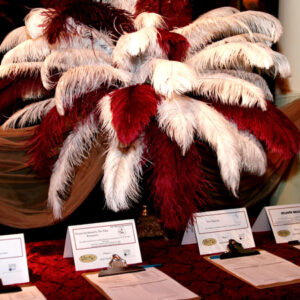 Ostrich Plumes feathers in a vase.