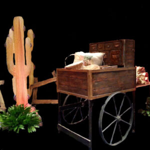 A Western Cart with cactus and plants on it.