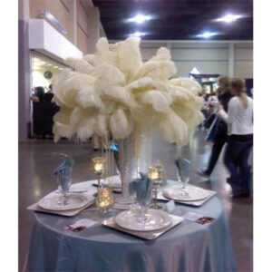 A table with white Ostrich Plumes on it.