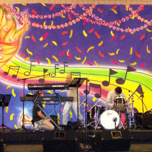 Mardi Gras Stage backdrops