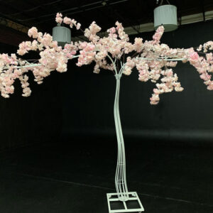 A pink Cherry Blossom tree in a dark room.