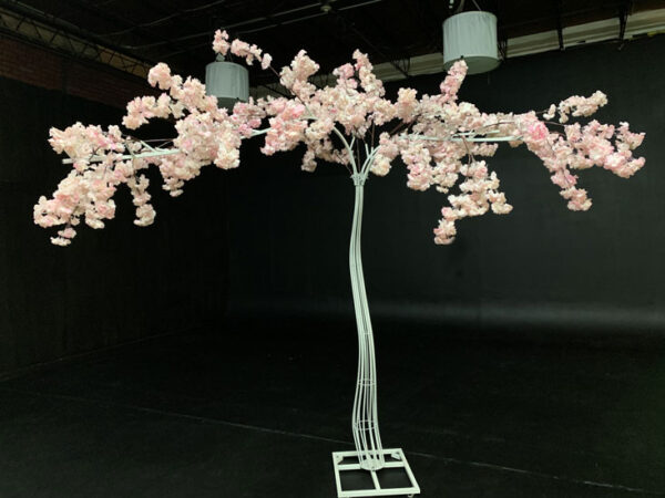 A pink Cherry Blossom tree in a dark room.