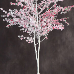 Cherry Blossom Tree Prop