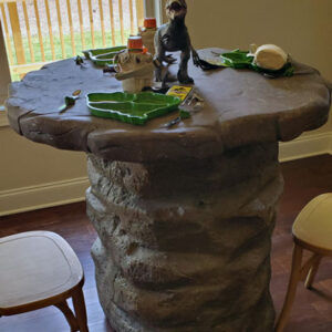 A Rock Table made out of a rock.