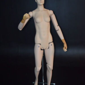 posable mannequin