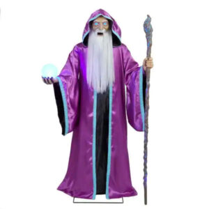 Animatronic Wizard