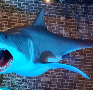 A Giant Shark prop hanging from a brick wall in a restaurant.