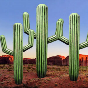 Three 3-D Cactus plants in the desert.