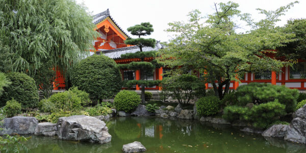 Asian Koi Garden Backdrop