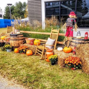 Fall Festival Theme Decor